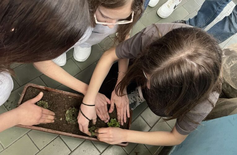 Резултати од проектот Smart Green Spaces